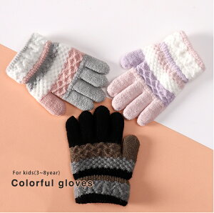 y999~z LbY j̎q ̎q Ԃ {[_[ XgCv O[u g  q Z  5{w 킢  pXe h h q qǂ v`v A