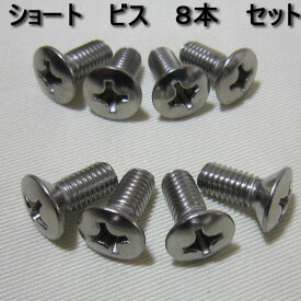 【国産ボード用　ショートビス】【メール便発送】8本セットスノーボード用ショートビスビンディング取り付け用ネジ