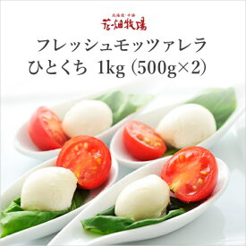 花畑牧場 ひとくちモッツァレラ 500g×2【1kg】 チーズ 冷凍 業務用 北海道