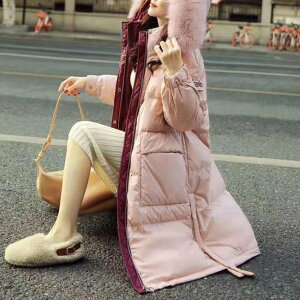 fB[X R[g AE^[ O t[ht tFCNt@[ _E CX^f g  킢 ؍  JWA l i Vv NVbN GKg