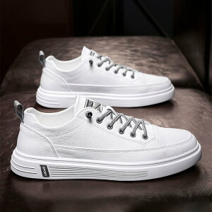 C V[Y lC    ͂ s     v`v Xj[J[ ^C ₷ Ȃ Ȃ ʋC y ₷ 