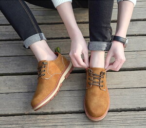 C V[Y lC    ͂ s     v`v [Nu[c v[gD U[ v ₷ ꂢ  JWA l s