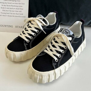 fB[XV[Y wlC V[Y Xj[J[ [Jbg [eN [XAbv ҂ݏグ o[\[ LoX n g[ 芴 Ȃ r ؚ