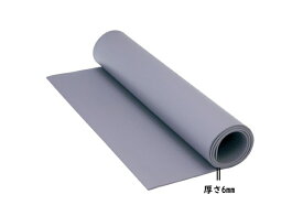 フジモリ フロアーマット FOP-501B 室内 フィットネス 自宅 床への騒音軽減 エクササイズ 器具 運動 バイク ダイエット トレーニング フィットネスバイク 有酸素運動 ルームバイク フィットネスバイク ルームバイク ホームユース 専用マット