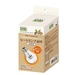 ~j} }J CASA q[gv  40W  nX^[ nlY~    ۉ