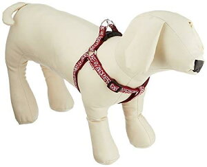 yeBI (Petio)  n[lX bh S TCY