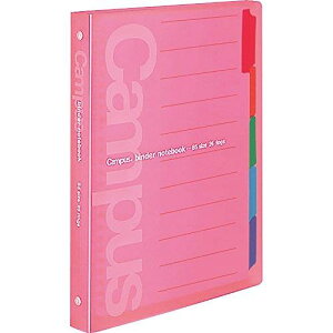 RN [Y[t oC_[ LpX B5 26 ő100  XCh -P333NP