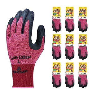 V[O[u yyƗp܁zNo.341 CgObv bh LTCY 10o