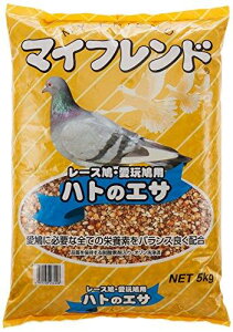 }Cth ng̃GT 5LO (x 1)