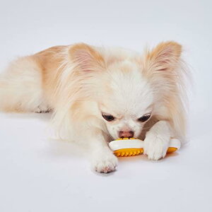 yeBI(Petio) p ł{[f^ Sn[h ؂x[Rt[o[