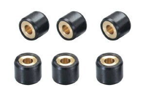 L^R(KITACO) X[p[[[Zbg(6.5g) fBI/n/Y[}[/gDfC 6 462-1006065