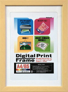 NAKABAYASHI tHgt[ t-DPW-A4-N i` A4/B5