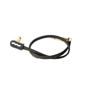 EBS �C�[�r�[�G�X PCF/PG58 �v���~�A���S�[���h 58cm �t���b�g�p�b�`�P�[�u���y�������K�i�z