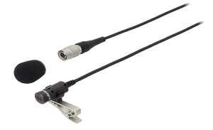 �I�[�f�B�I�e�N�j�J ���x���A�}�C�N���z�� ���C�����X�p AT829H/P