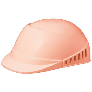 ~hS yƖX SCL100A \tBAsN