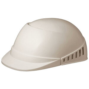 ~hS yƖX SCL100A \tBAO[