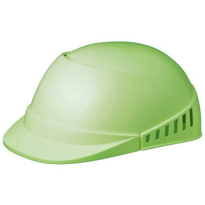 ~hS yƖX SCL100A \tBAO[