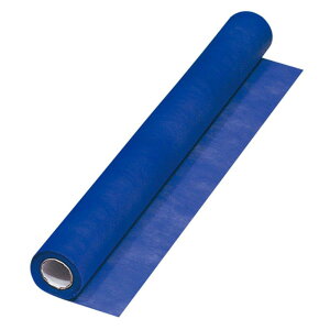 wCR[ sDz t[bv Cu[ 65cmx20m 006777419