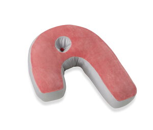 ytXxbhKiz  Qp sN c56×42×13cm X[voe[W v~AiSleepVantage PREMIUMj тłY݂̕ QSnƃz[hAbv܂ 036058500