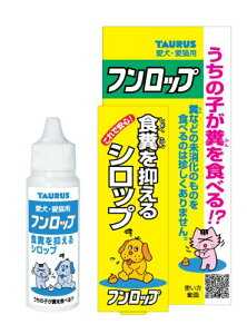 g[X 񂿂͂܂wKVbv tbv 30~bg (x 1)