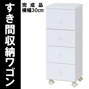 LX^[t`FXg Eߏ ^IXgbJ[ Xߎ dRZgt 30cm XS