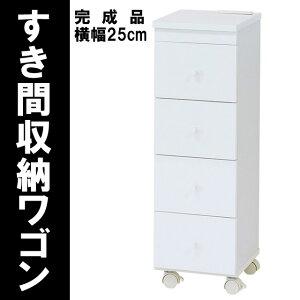 LX^[t`FXg Eߏ ^IXgbJ[ Xߎ dRZgt 25cm XS