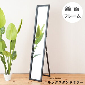 Sg X^h~[ p 150cm ~[ 傫TCY