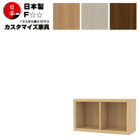 日本製 注文生産 コミック本棚 壁面収納 ファイルラック 高さ41cm（1段2列）