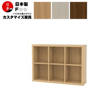 日本製 注文生産 コミック本棚 壁面収納 ファイルラック 高さ77cm(2段3列)