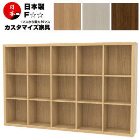 日本製 注文生産 コミック本棚 壁面収納 ファイルラック 高さ113cm（3段5列）