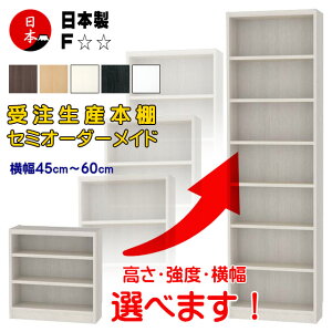 45`60cm { I[_[Ch{I R~bNVFt ǖʎ[ 60cm198cm F