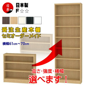 61`70cm { I[_[Ch{I R~bNVFt ǖʎ[ 60cm198cm F