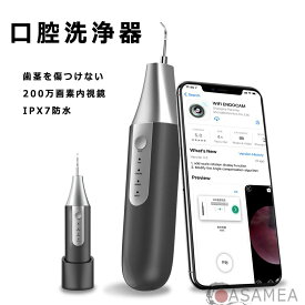 口腔洗浄器 カメラ付き 内視鏡 無線 WIFI接続 電動歯ブラシ スケーラー 電気歯クリーナー 高周波振動 電気歯洗浄機 電動ブラシ はぶらし USB充電式 3つモード調節可能 IPX7防水