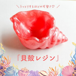 y26Ԍ 10%It 111:59܂ŁzyAEgbg Wz ZT[vC  gC A  s@ ̎q CO ̎q C V LL  o G bN