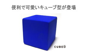 靴箱、玄関、車の中、トイレ、洗面所、クローゼット、冷蔵庫