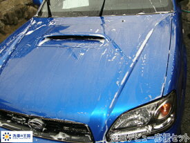 楽天市場 ハーフ ボディカバーの通販