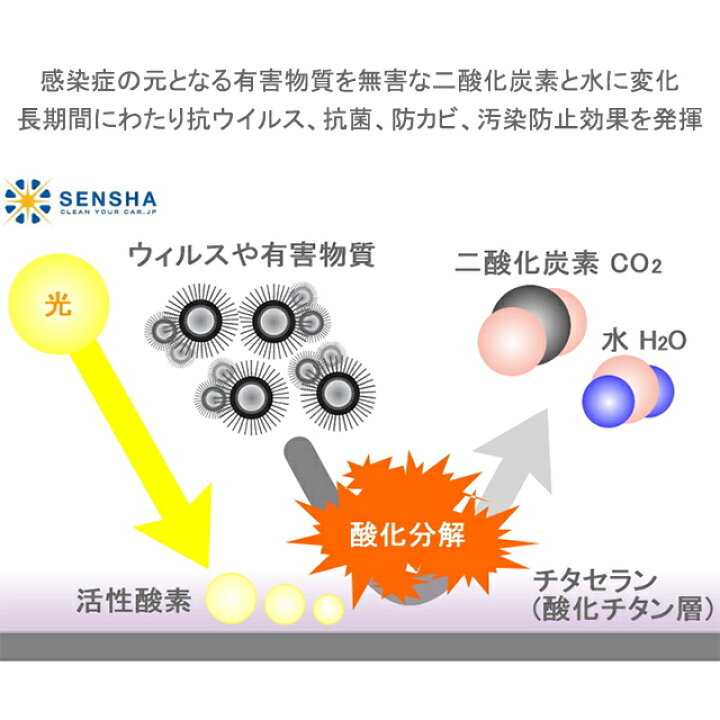 楽天市場 5年耐久型 抗菌 抗ウィルス コーティング剤 除菌 消臭 チタセランコーティング 一度塗るだけ 抗ウィルス効果が長期間持続します 洗車の王国