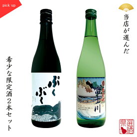 父の日 日本酒飲み比べセット 2本組 ぷくぶく純米吟醸×富士川特別純米 純米酒 プレゼント 贈り物 PI