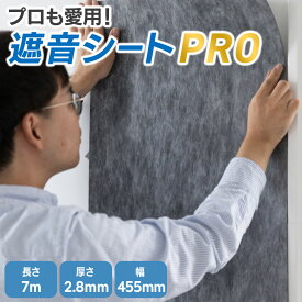 最大10%OFFクーポン配布 【PRO仕様新発売】 遮音シート 防音シート 壁 壁紙 防音 騒音 消音 雑音 対策 厚さ 2.8mm 幅 455mm 長さ 7.0m 賃貸 マンション アパート 遮音材 防音材 吸音 シール DIY スタジオ 室内 センタビ屋