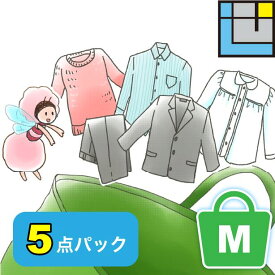 衣類 クリーニング 詰め放題 【送料無料】 5点詰め放題 5点 宅配クリーニング クリーニング 宅配 セット 入れ放題 詰め込み セーター スーツ カシミヤ シルク 防虫 汗抜き 帯電防止 Mサイズ【エコ割】100円引き 保管 クリーニング 保管