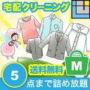 クリーニング 詰め放題 送料無料(本州) 5点詰め放題 5点 宅配クリーニング 宅配 入れ放題 詰め込み セーター スーツ カシミヤ シルク 防虫 汗抜き 帯電...