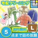 クリーニング 詰め放題 送料無料(本州) 5点詰め放題 5点 宅配クリーニング 宅配 入れ放題 詰め込み ダウン オーバー カシミヤ シルク 防虫 汗抜き 帯電...