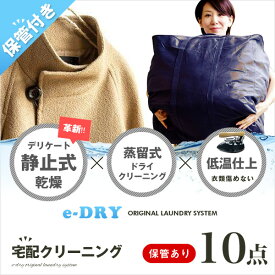 クリーニング 保管 宅配クリーニング ＼ブロガー推薦！／ 保管付き 詰め放題 最大10点 クリーニング カシミアクリーニング スキーウェアクリーニング 天然石鹸クリーニング 母の日 【サービス特集認定商品】