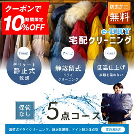 クリーニング 宅配クリーニング ＼ブロガーさん推薦！／ 詰め放題 最大5点 送料無料 衣替え 新生活 カシミアクリーニング スキーウェアクリーニング 簡易染み抜き無料 天然石鹸クリーニング【サービス特集認定商品】