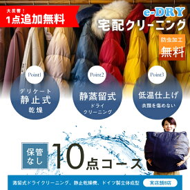 クリーニング 宅配クリーニング ＼ブロガーさん推薦！／ 詰め放題 最大10点 送料無料 衣替え 新生活 カシミアクリーニング スキーウェアクリーニング 簡易染み抜き無料 天然石鹸クリーニング 【サービス特集認定商品】