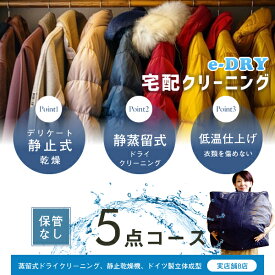 クリーニング 宅配クリーニング ＼ブロガーさん推薦！／ 詰め放題 最大5点 送料無料 衣替え 新生活 カシミアクリーニング スキーウェアクリーニング 簡易染み抜き無料 天然石鹸クリーニング【サービス特集認定商品】