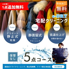 クリーニング 宅配クリーニング ＼ブロガーさん推薦！／ 詰め放題 最大5点 送料無料 衣替え 新生活 カシミアクリーニング スキーウェアクリーニング 簡易染み抜き無料 天然石鹸クリーニング【サービス特集認定商品】