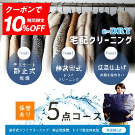 クリーニング 保管 宅配クリーニング ＼ブロガー推薦！／ 保管付き 詰め放題 最大5点 クリーニング カシミアクリーニング スキーウェアクリーニング 天然石鹸クリーニング【サービス特集認定商品】