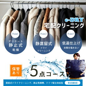 クリーニング 保管 宅配クリーニング ＼ブロガー推薦！／ 保管付き 詰め放題 最大5点 クリーニング カシミアクリーニング スキーウェアクリーニング 天然石鹸クリーニング【サービス特集認定商品】