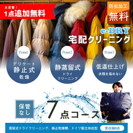 クリーニング 宅配クリーニング ＼ブロガーさん推薦！／ 詰め放題 最大7点 送料無料 衣替え 新生活 カシミアクリーニング スキーウェアクリーニング 簡易染み抜き無料 天然石鹸クリーニング【サービス特集認定商品】